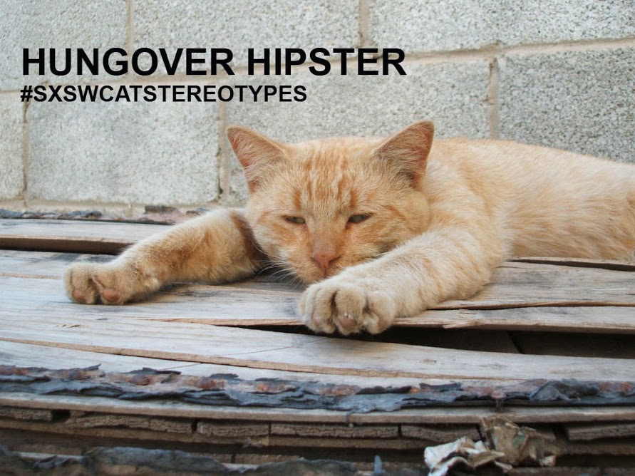 Hungover hipster cat
