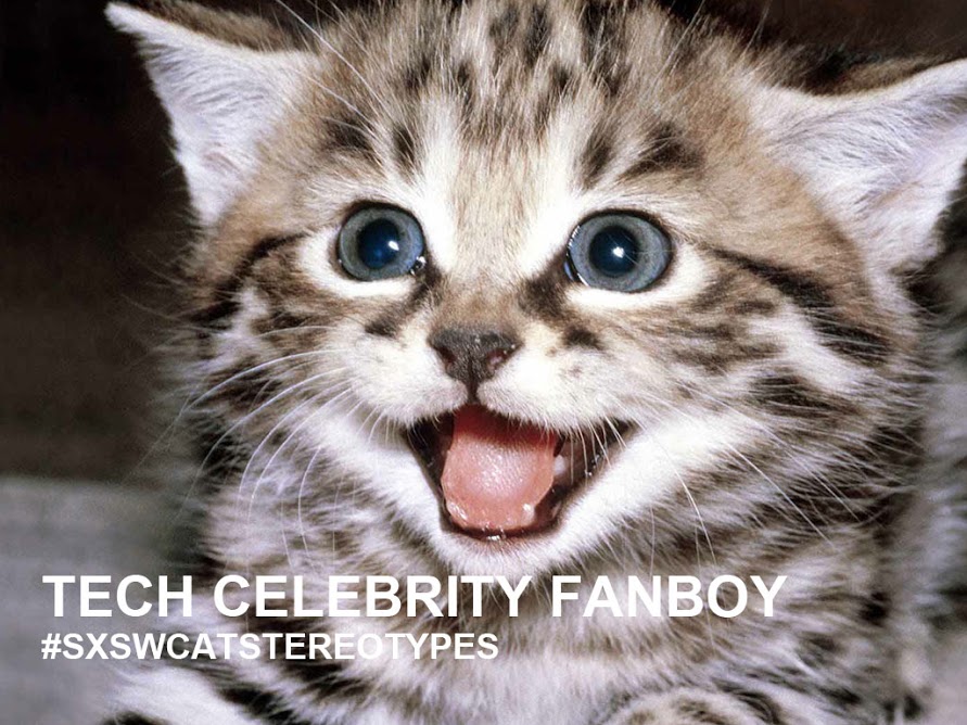 Fan boy cat