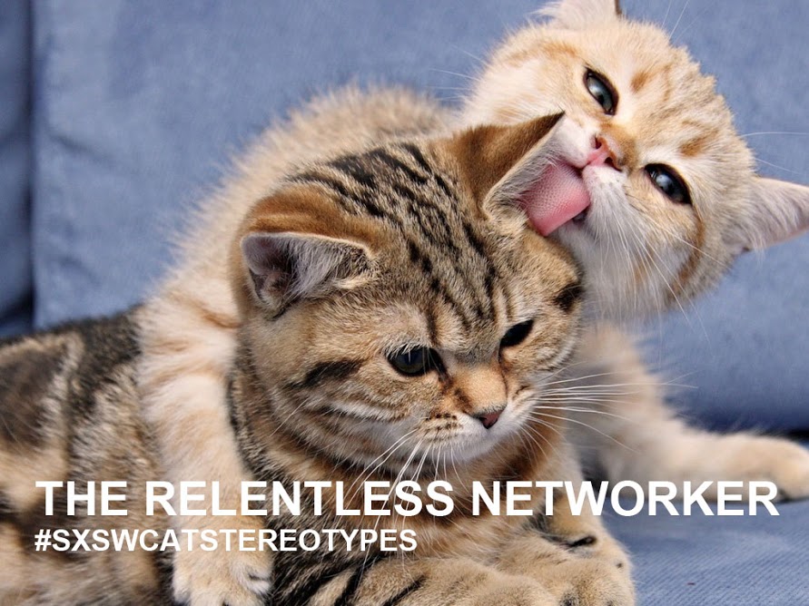 Networker cat
