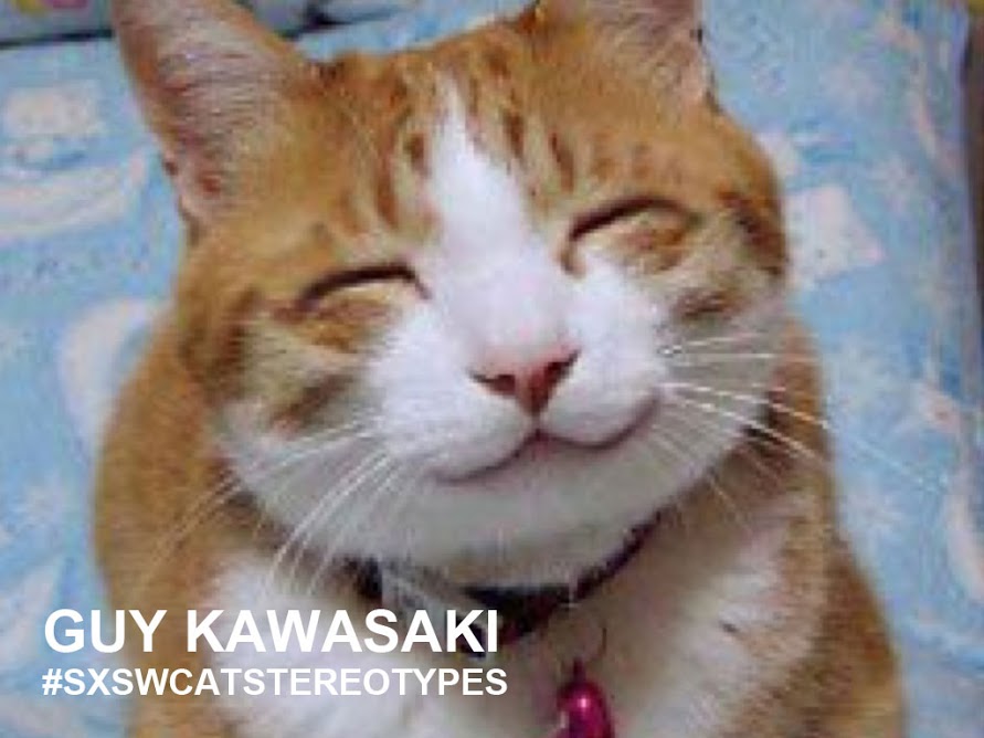 Kawasaki cat