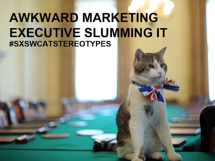 Exec cat