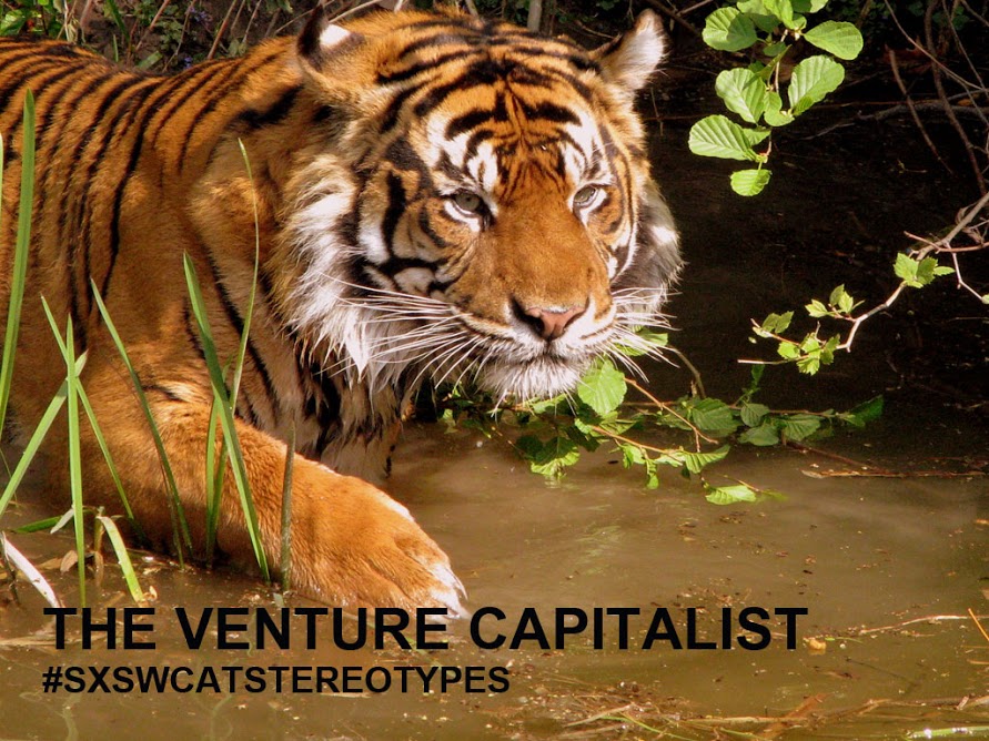 VC cat