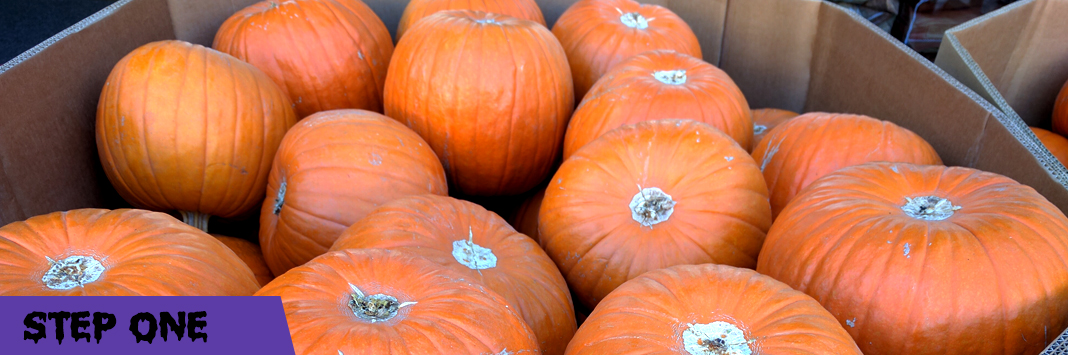 step 1 company logo on pumpkin