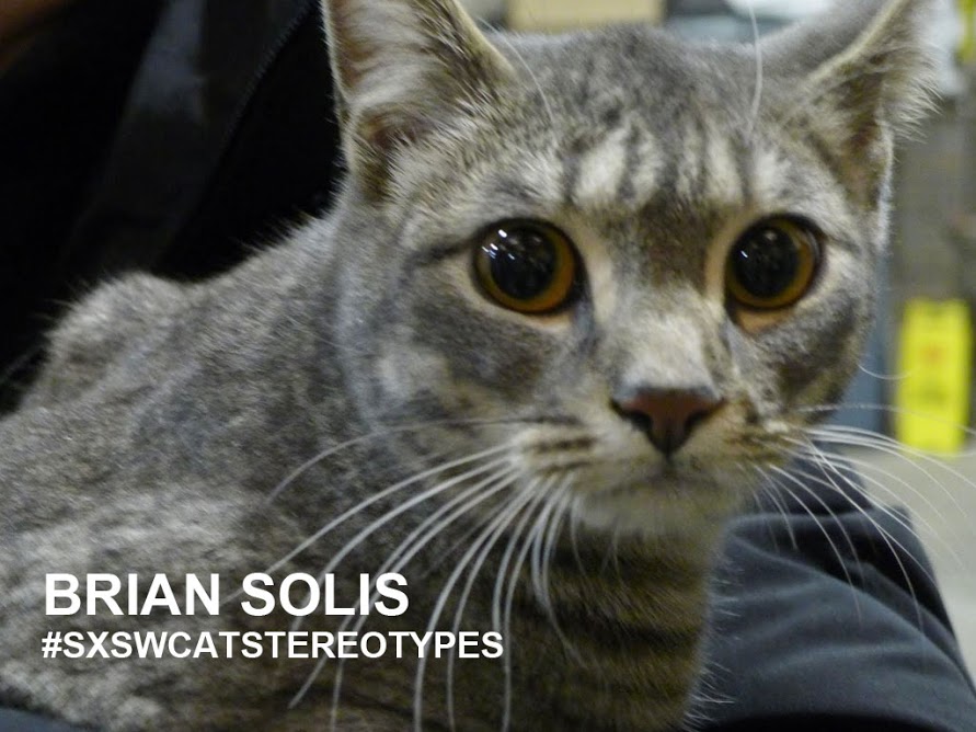 Brian Solis cat