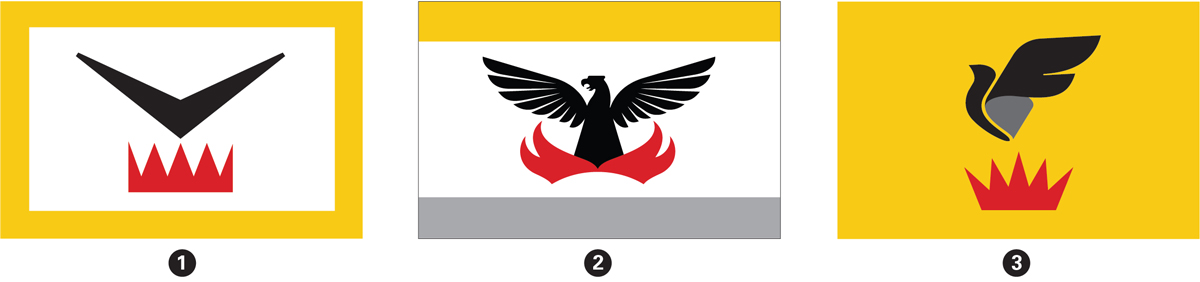 SF flags designs